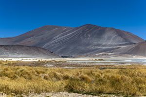 Lagunas Miscanti Miniques Tuyacto Aguas Calientes 191.jpg